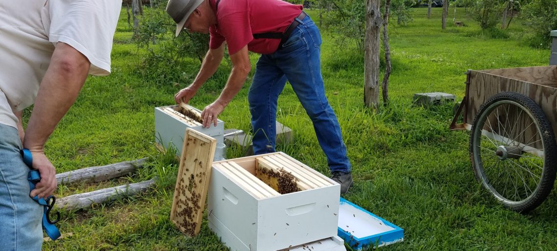 Picking up our honey bee nucs from Ken Medlin!