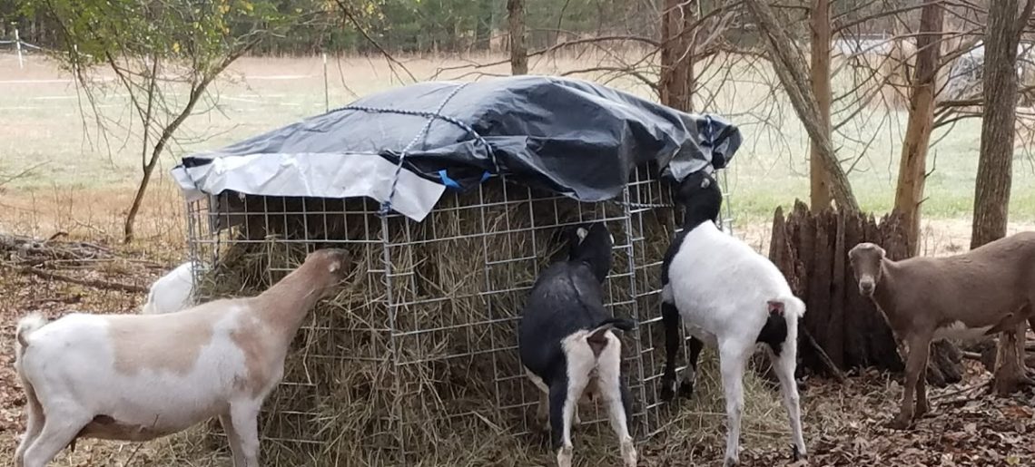 Round Bale Feeder