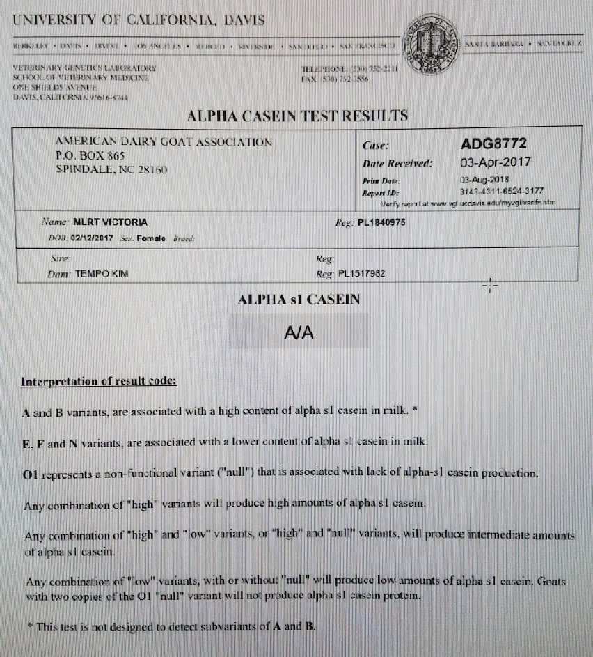 Alpha s1 Casein results