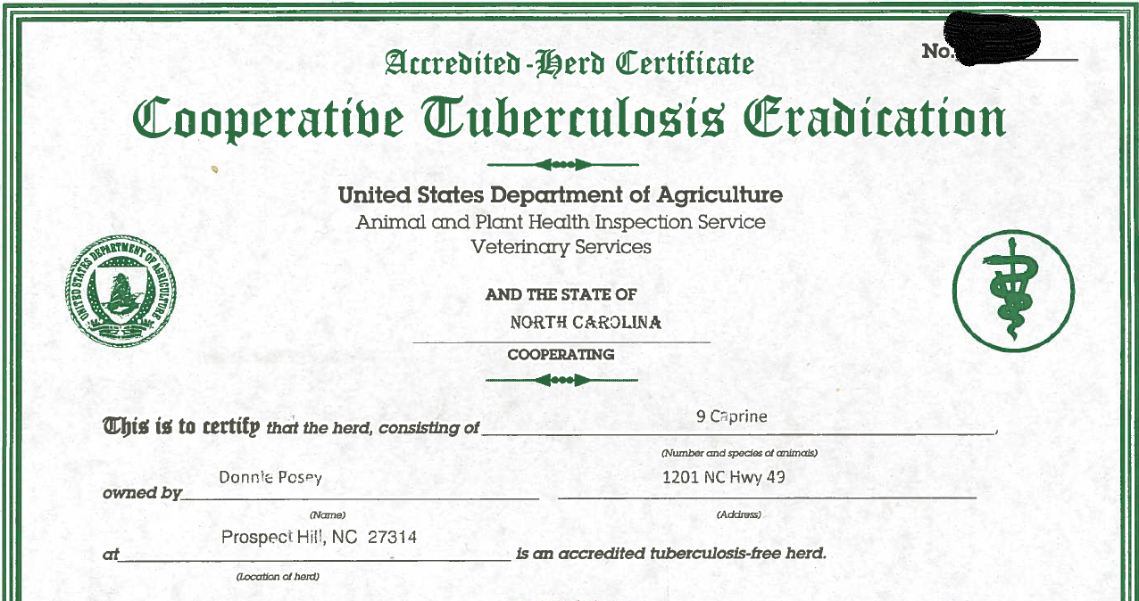 Accredited Tuberculosis-Free herd